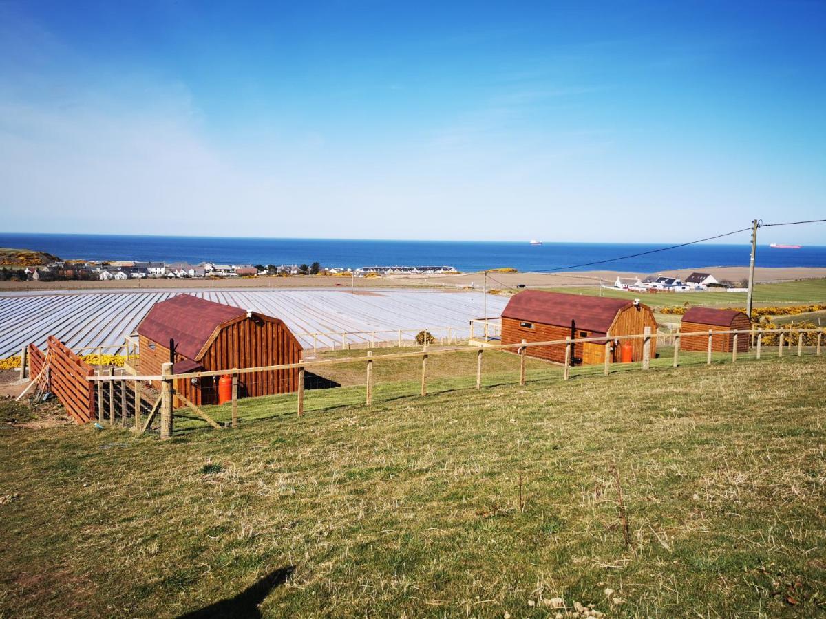 Готель Gowanview Glamping Банфф Екстер'єр фото